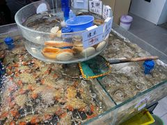 -健跳小海鲜(人民路店)