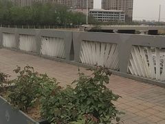 -太原动物园
