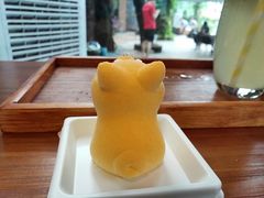 -柴犬高等学院·狗咖·柴犬售卖·宠物训练