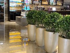 -北京朝阳悠唐皇冠假日酒店