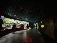 -太平洋海底世界