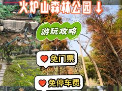 -火炉山森林公园