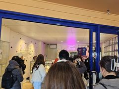 -Dooley's Premium Ice Cream