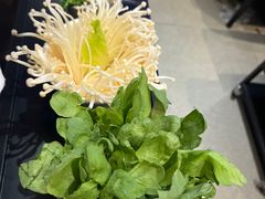 -浩爷羊蝎子火锅(望京店)