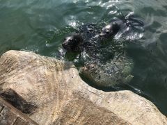 -华夏文旅海洋公园