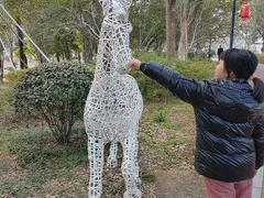-金鸡湖桃花岛