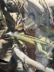 -Zoolung Zoolung动物主题公园(海信广场店)