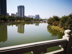 -飞来湖湿地公园