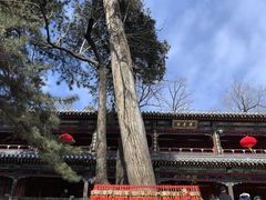 -潭柘寺景区