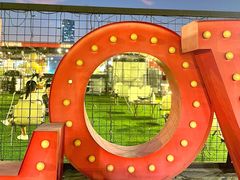 -沸奇公园·情景团建·年会露营烧烤轰趴生日(科技园店)