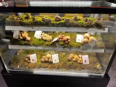 -滇野云南野生菌餐厅(陕西南路店)