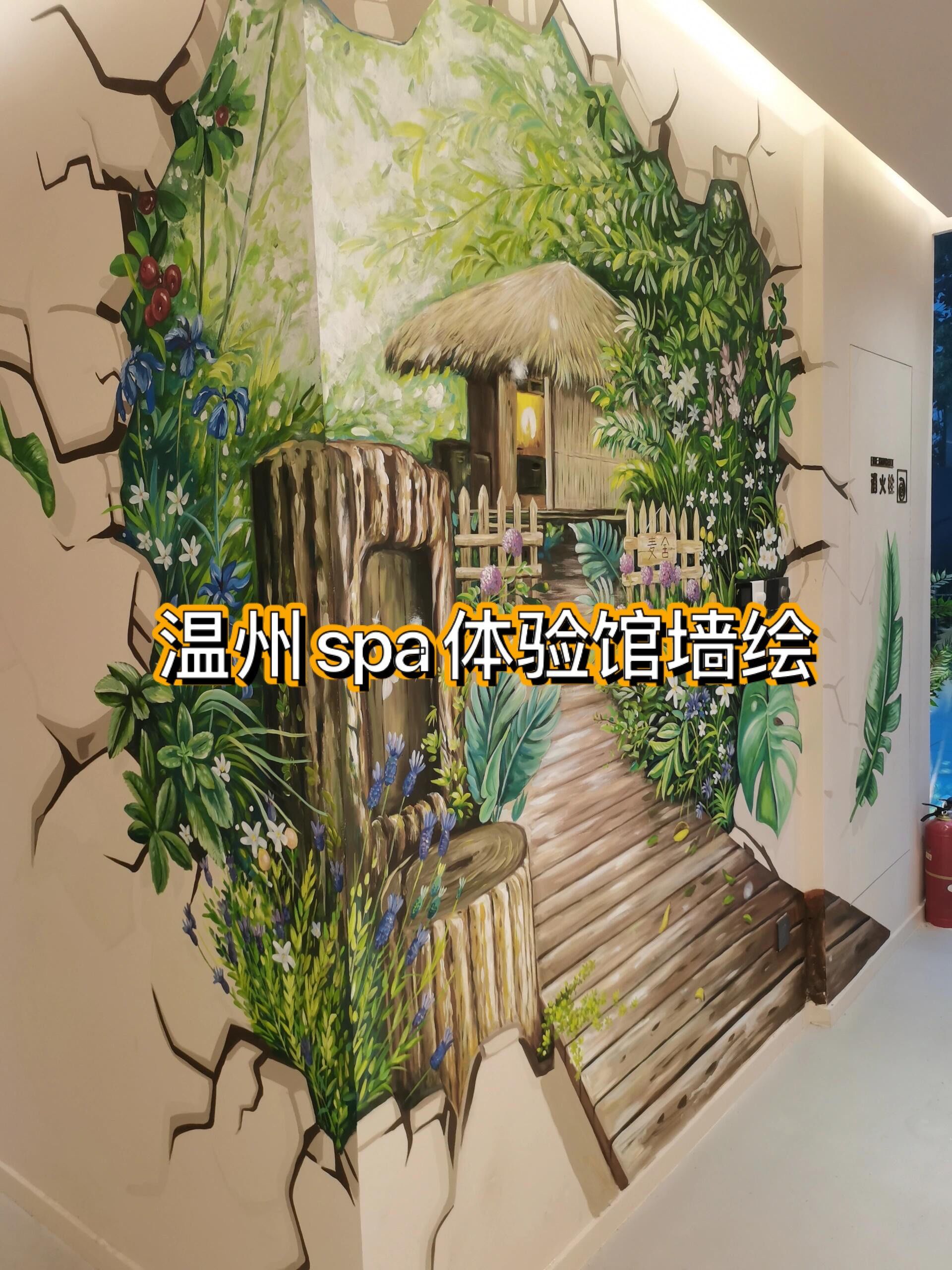温州spa体验馆墙绘