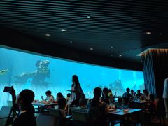 -海棠湾洲际-涛·海底餐厅·美人鱼·自助餐·海底隧道