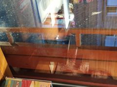 -管氏翅吧(护国寺店)