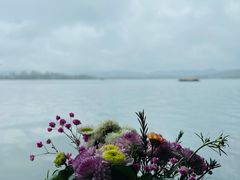 -柳莺湖上·湖景餐厅·江南菜(西湖店)