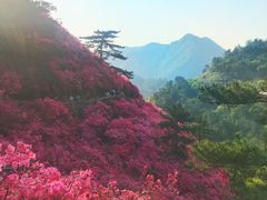 -木兰云雾山