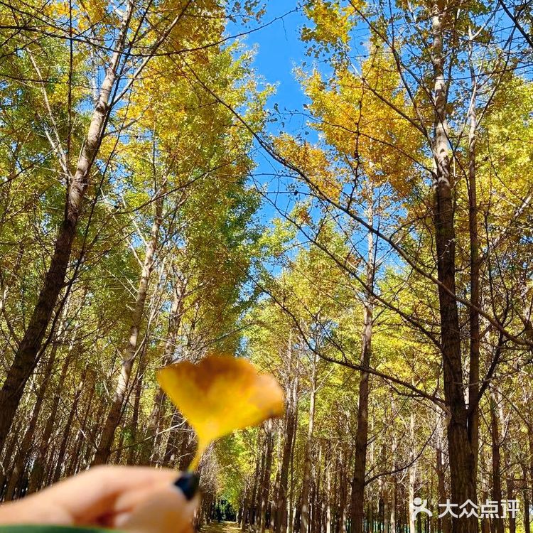 汉阳陵一日游|汉服写真|博物馆宝藏行