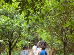 -凤栖山