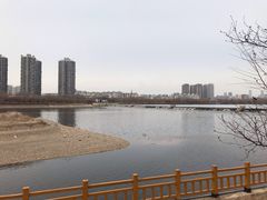 -长白岛森林公园