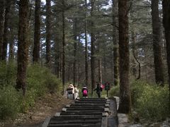 -峨眉山风景名胜区