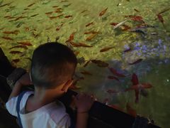 -华夏文旅西安度假区