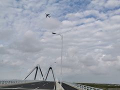 -春花秋色城市公园