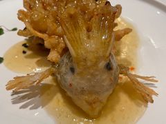 精灵松鼠桂鱼-海味观(老西门店)