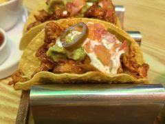 -Famous肥猫墨西哥音乐餐吧(五棵松华熙LIVE店)