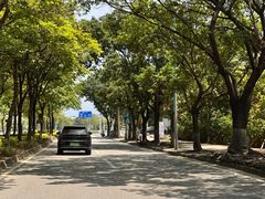 -牛鱼嘴原始生态风景区