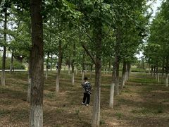 -汉长安城未央宫国家考古遗址公园