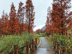 -贵阳市花溪国家城市湿地公园
