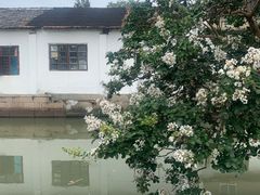 -状元楼(金溪路店)
