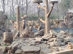 -合肥野生动物园