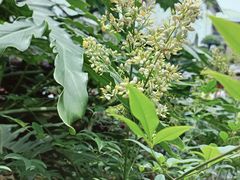 -聚福宝合苑食府(南头镇店)