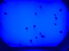 -沈阳海洋探索中心