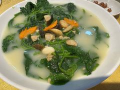 -新高记·粤菜·湛江鸡(南头古城店)