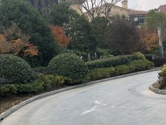 -上海崇明金茂凯悦酒店