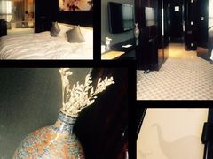 -常州环球恐龙城维景国际大酒店