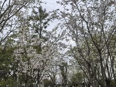-汤山公园