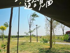 -东堤公园