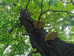 -萨尔浒风景区