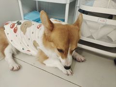 -怪兽屋·羊驼·猫咖·狗咖(俊华广场店)