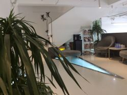 -I+造型烫发染发