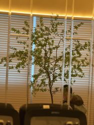 -TIME SPA科技美肤机构