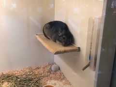 -龙猫仔乐园(惠福东路店)