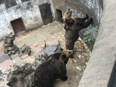 -赭山公园