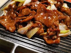 -大鸭梨烤鸭店(花园村店)