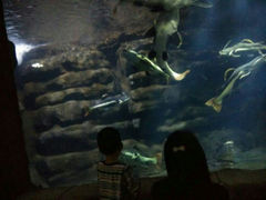 android_upload_pic-南昌海洋公园