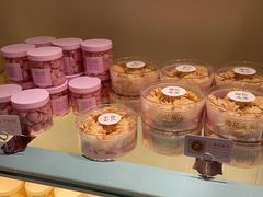 -蒲公英(五里店)