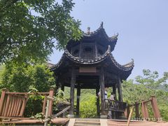 -龙坞茶村